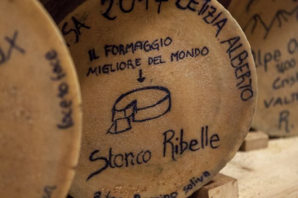 casera storico ribelle