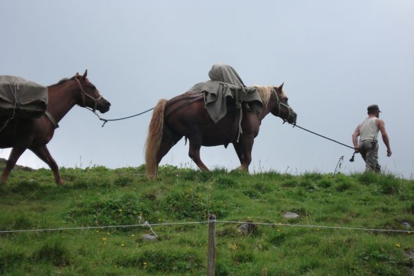 agricoltura del futuro