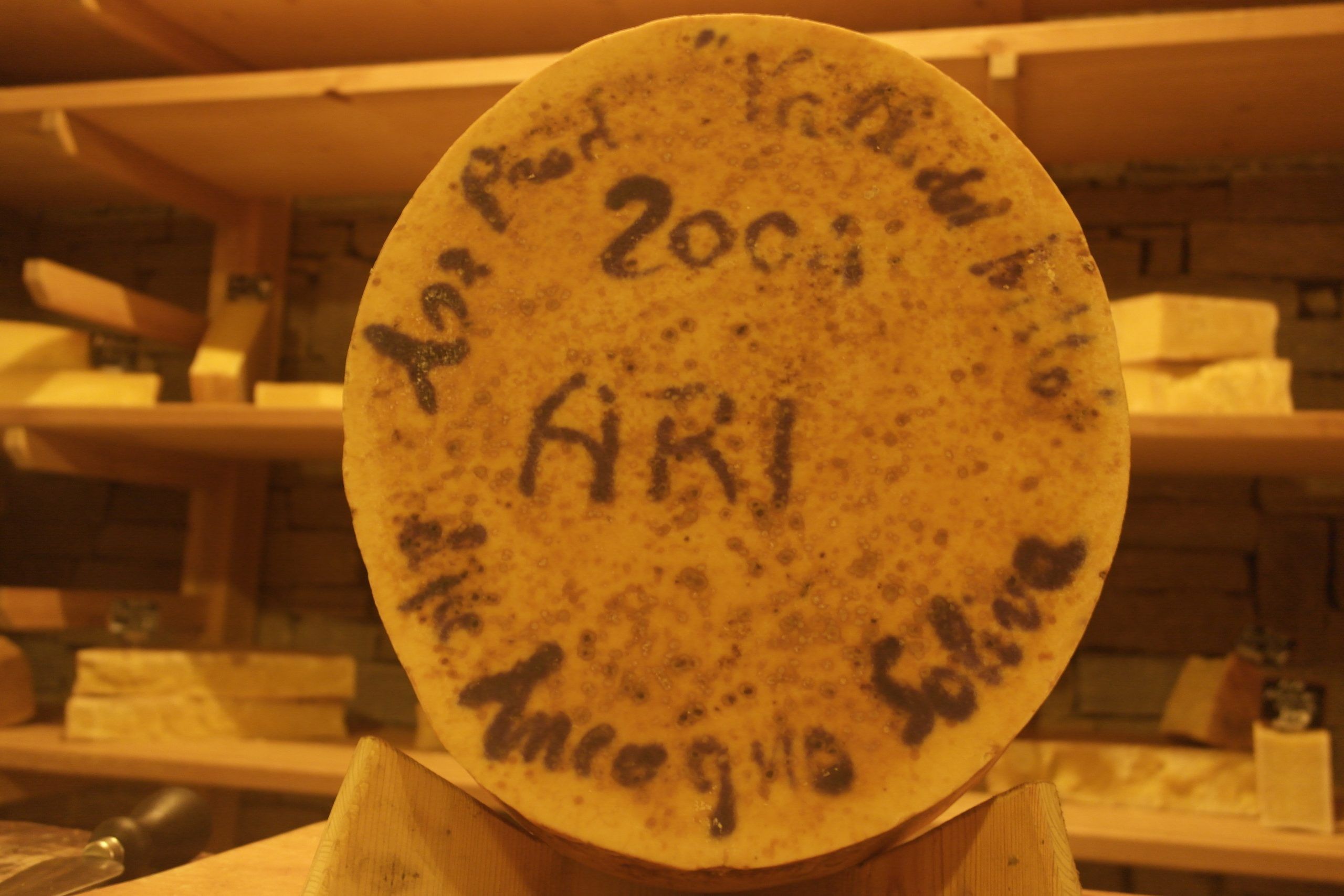 Forme-Dedica-2000-2006