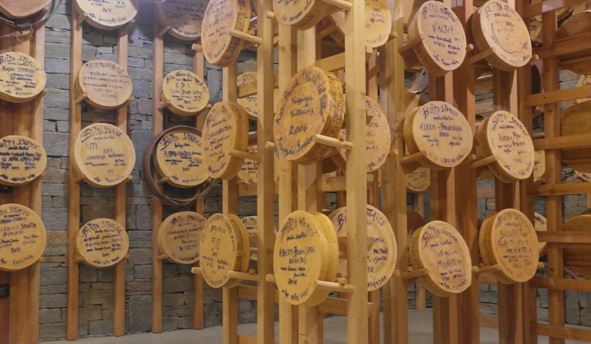 cantina casera esposizione