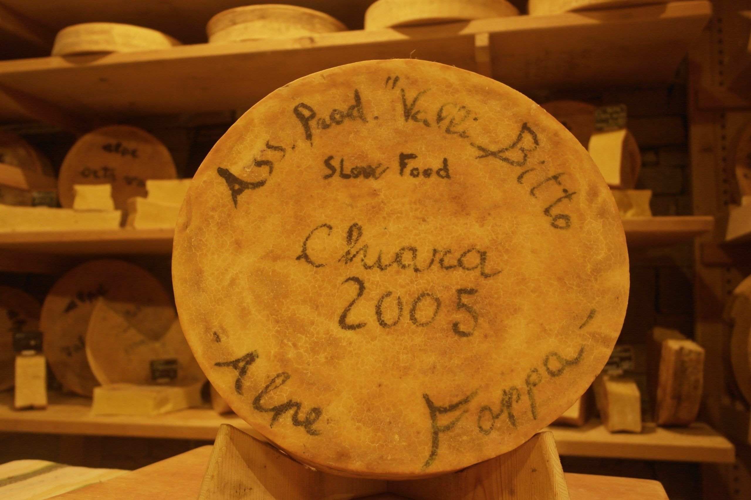 Forme-Dedica-2000-2006