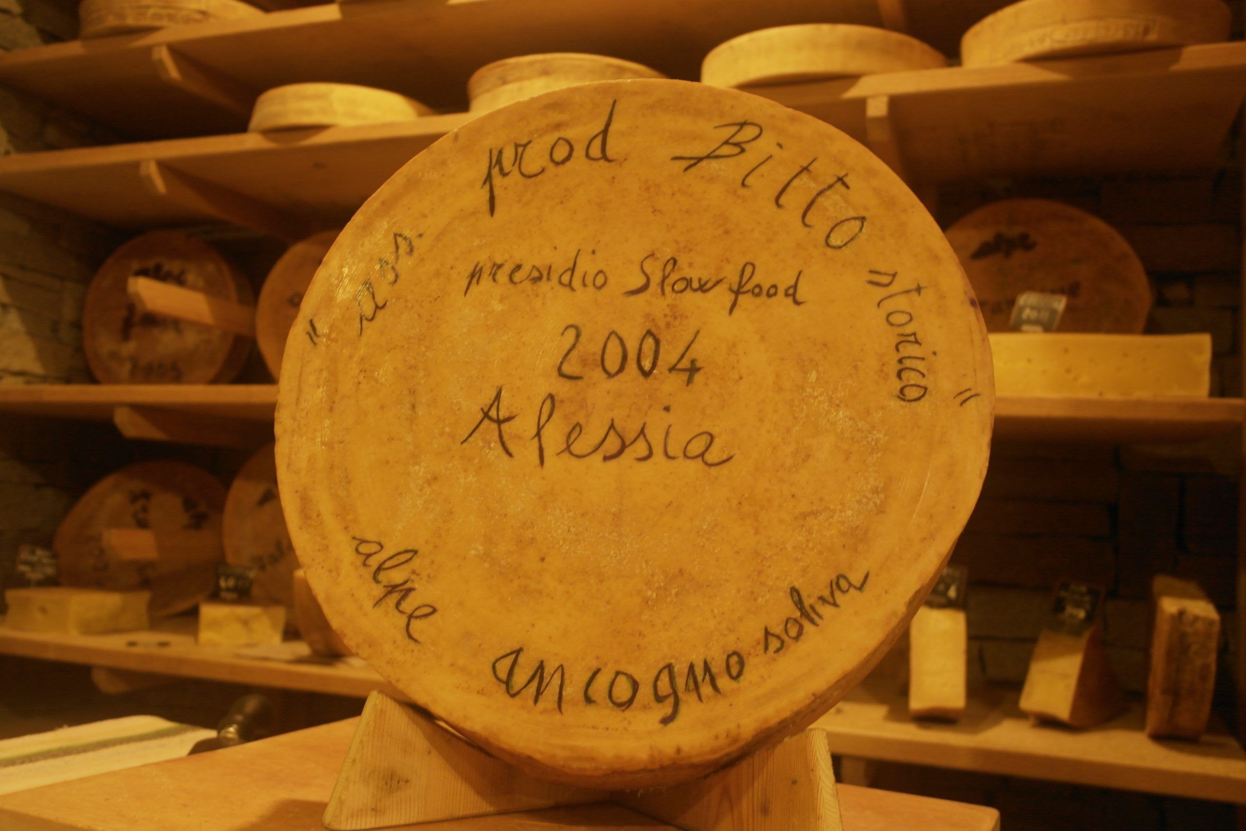 Forme-Dedica-2000-2006