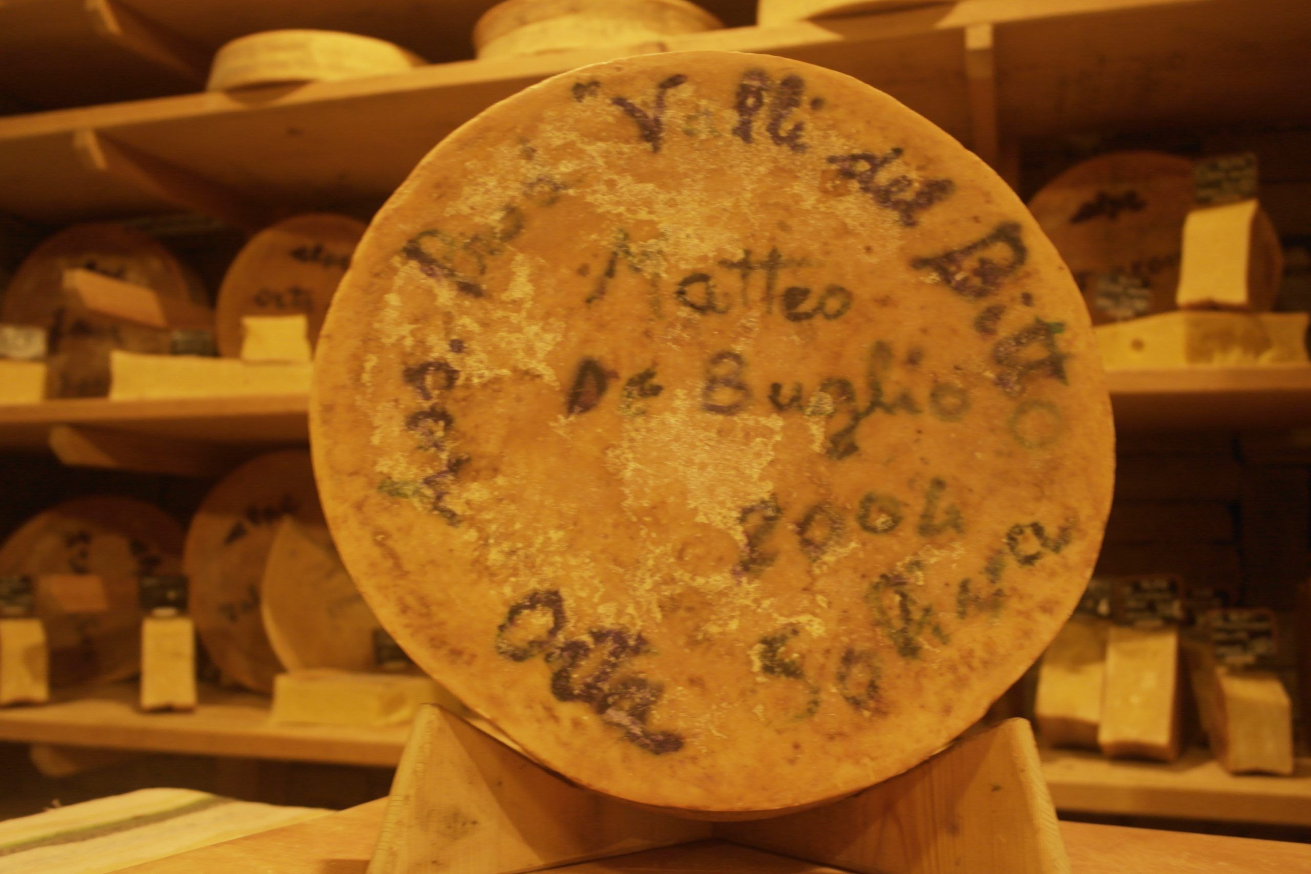 Forme-Dedica-2000-2006