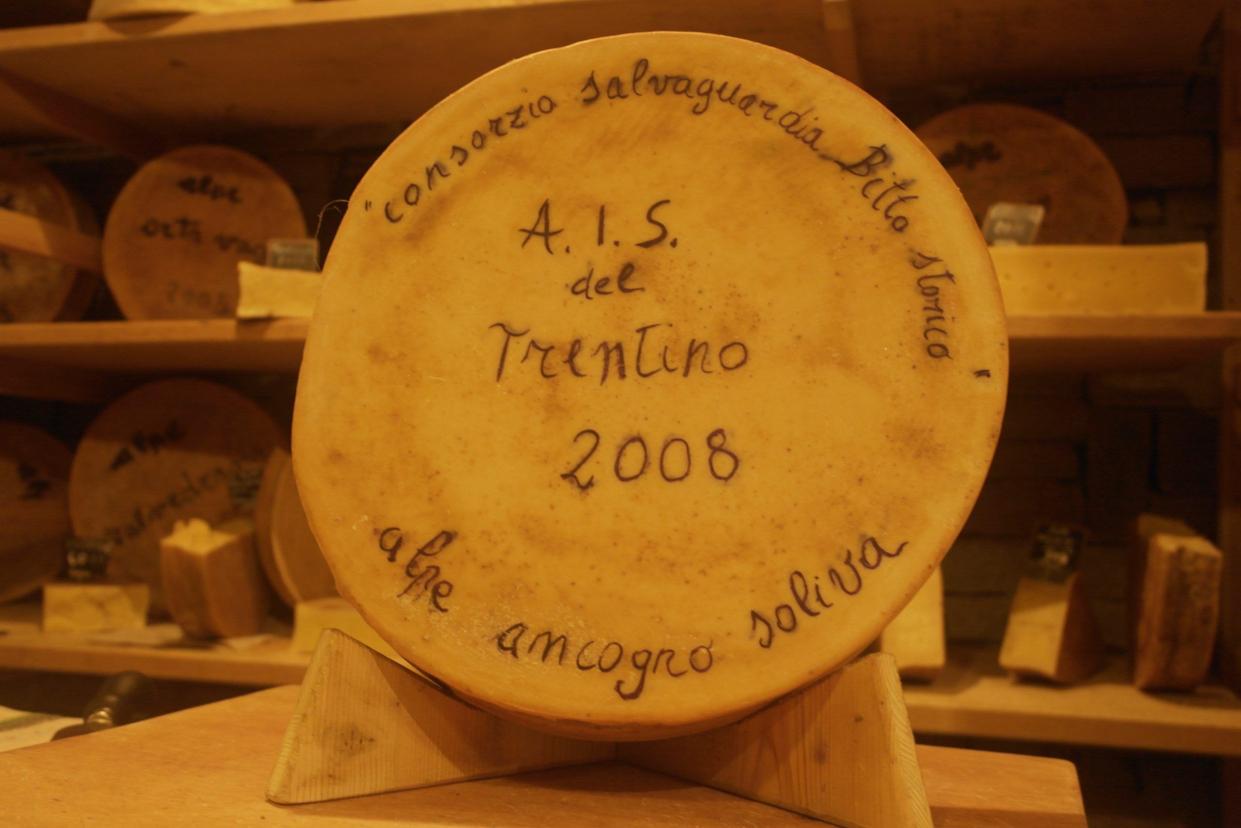 Forme-Dedica-2000-2006