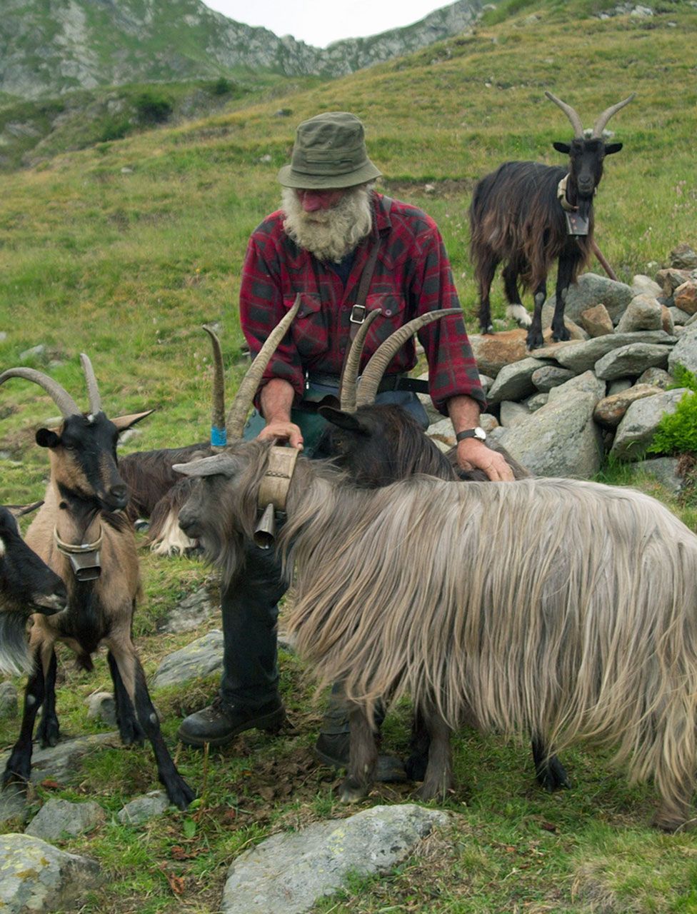 alpeggio trona soliva