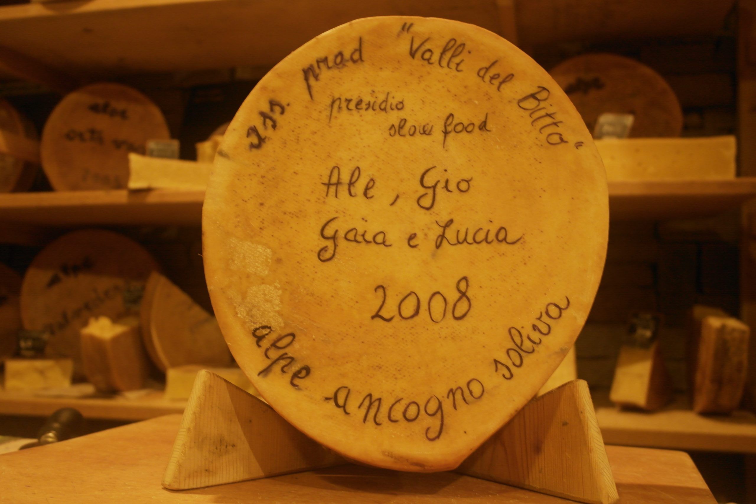 Forme-Dedica-2000-2006