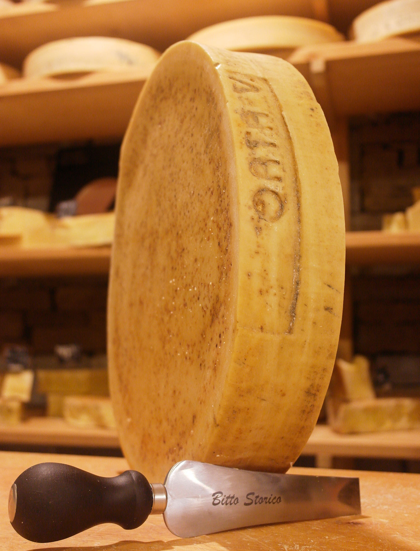 bitto storico ribelle