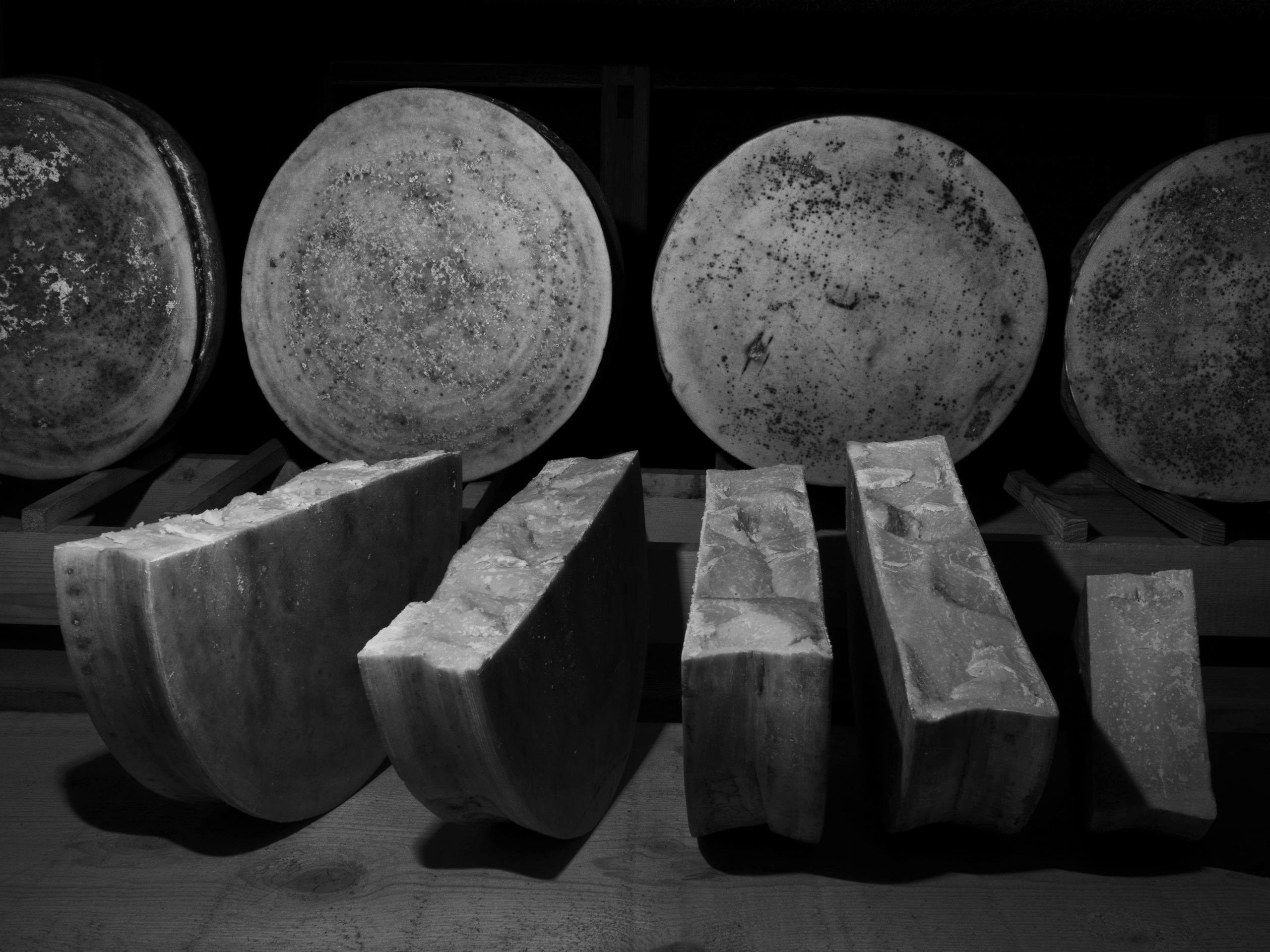 storico ribelle bianco e nero