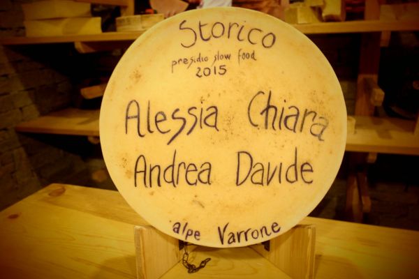 Forme dedica 2015