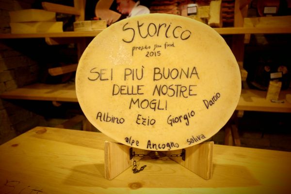Forme dedica 2015