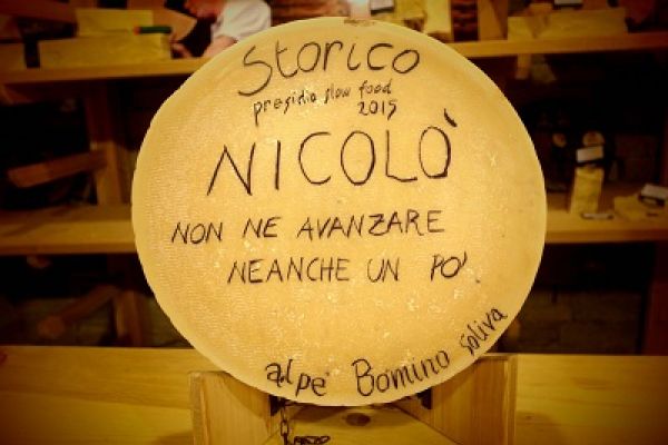 Forme dedica 2015