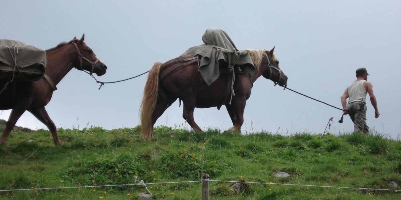 agricoltura del futuro