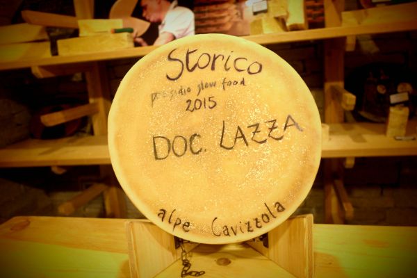 Forme dedica 2015