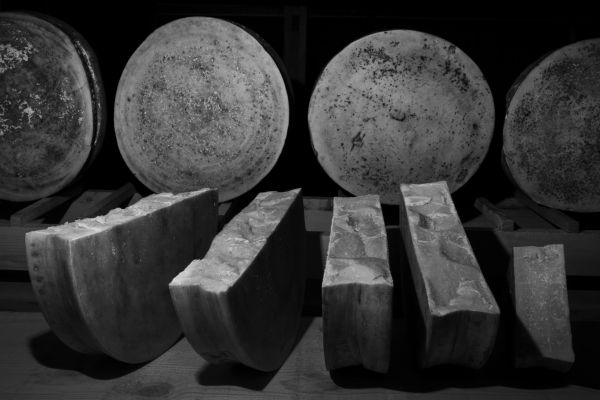 storico ribelle bianco e nero