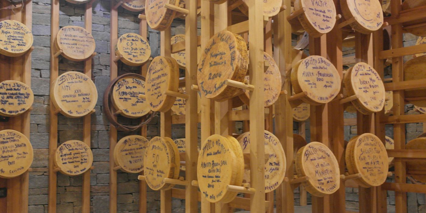 cantina casera esposizione