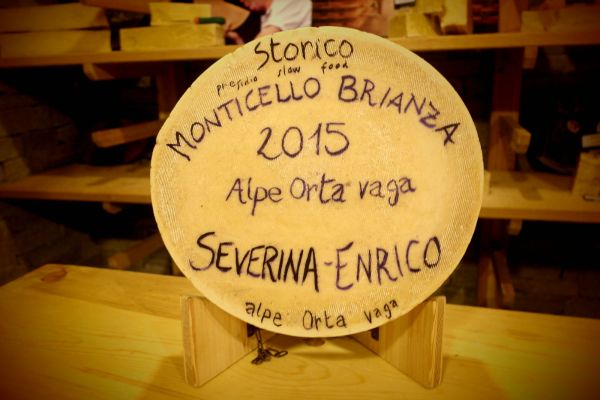 Forme dedica 2015