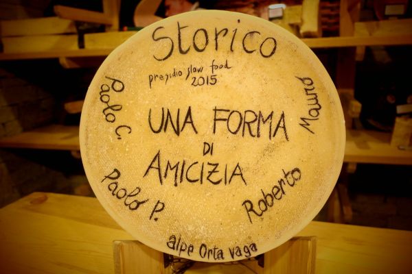 Forme dedica 2015