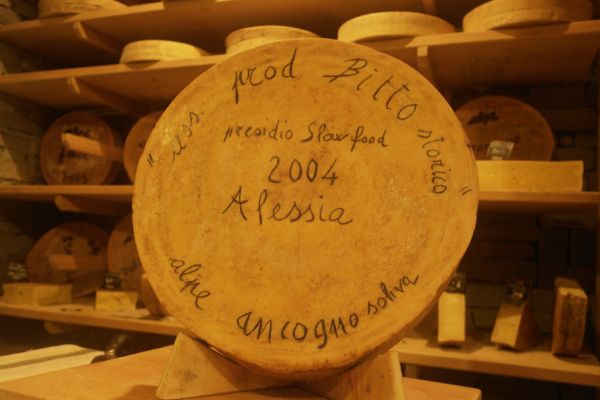 Forme-Dedica-2000-2006